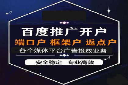 揭秘百度竞价代理：实战案例分析